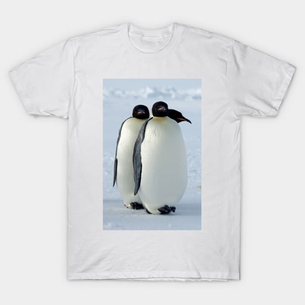 Emperor Penguins Huddled T-Shirt by Bravuramedia